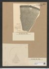 Diatomeae indet. Zeichnungen Sammlung Grunow Nr. 8217 (NHMW-BOT-W0377601)